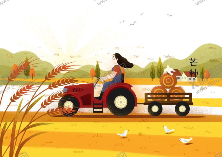 编号：72094109290146279993【酷图网】源文件下载-芒种