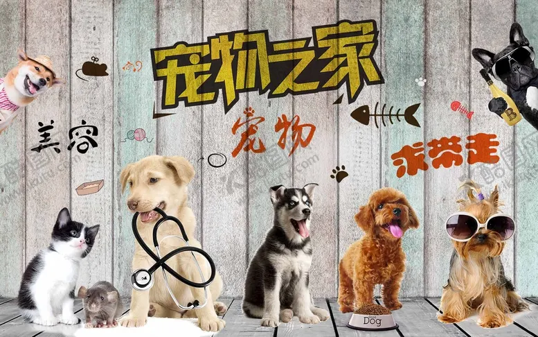 编号：24813009160803078619【酷图网】源文件下载-宠物素材