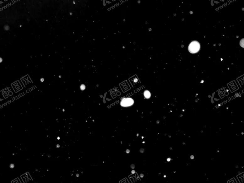 编号：55293906271203372573【酷图网】源文件下载-雪花