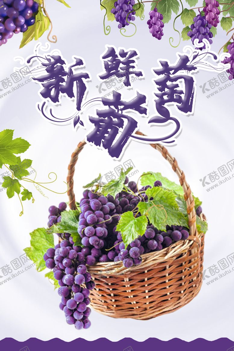 编号：63875010031419298763【酷图网】源文件下载-新鲜葡萄