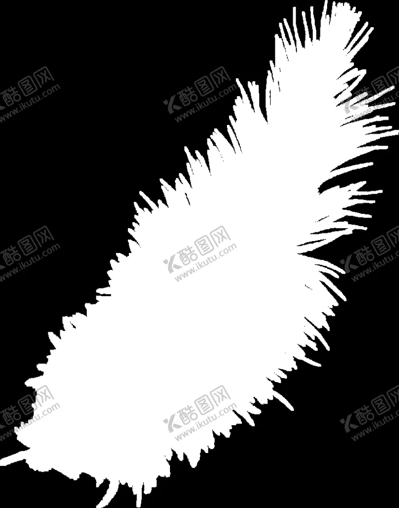 编号：81591701261122223529【酷图网】源文件下载-羽毛 素材