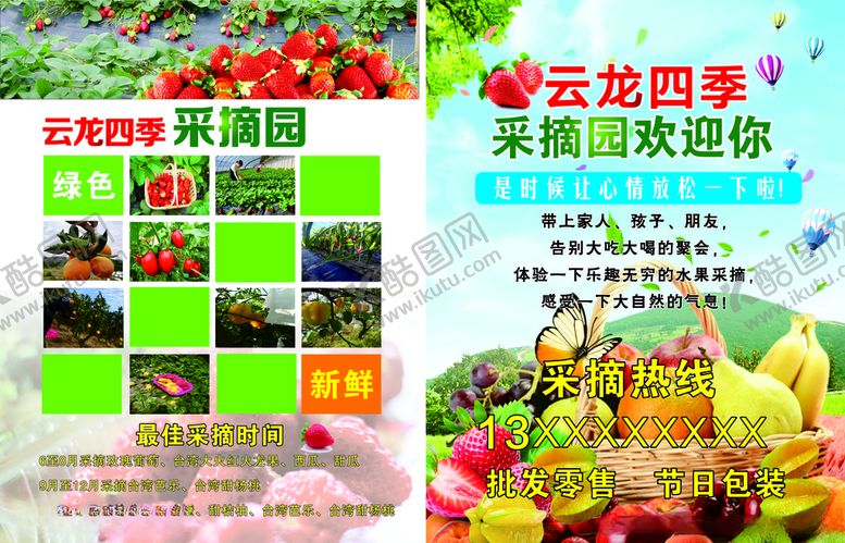 编号：50098305041829577678【酷图网】源文件下载-水果宣传单