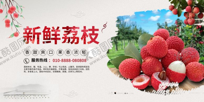 编号：50743502181043017990【酷图网】源文件下载-新鲜荔枝