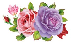 玫瑰花