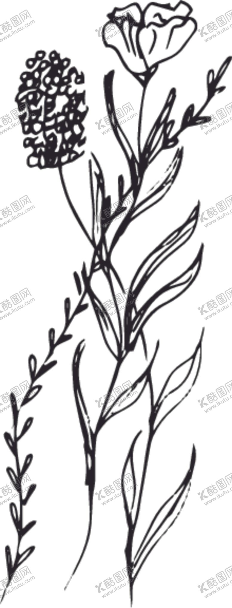 编号：82310206161642469130【酷图网】源文件下载-手绘花卉元素
