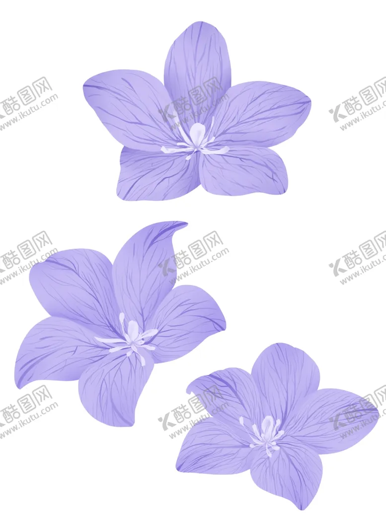 编号：41240202260837559827【酷图网】源文件下载-手绘植物花朵紫色桔梗