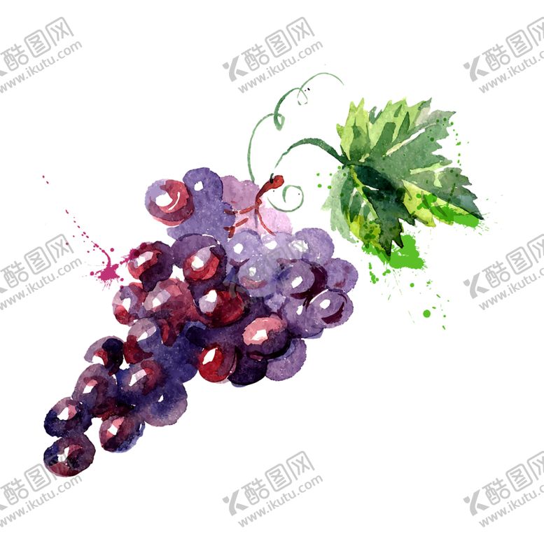 编号：37362807051120501774【酷图网】源文件下载-水果