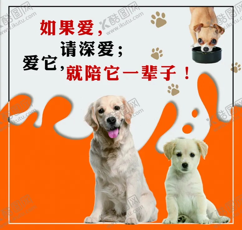 编号：58891904210609433546【酷图网】源文件下载-宠物