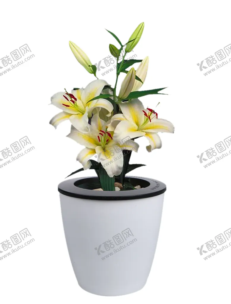 编号：20468905090715506369【酷图网】源文件下载-花盆栽植物