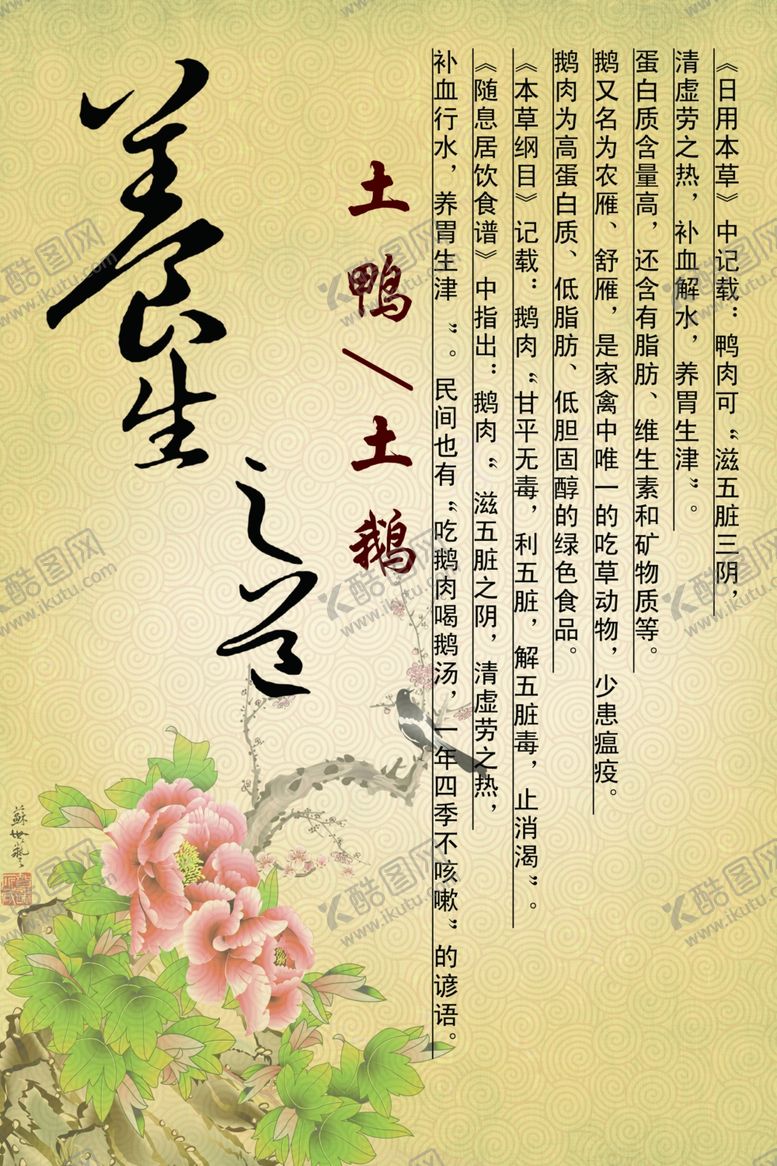 编号：63368410041839479431【酷图网】源文件下载-养生海报