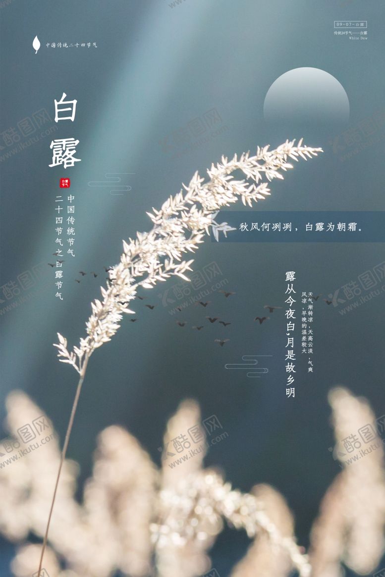 编号：54897605090924248239【酷图网】源文件下载-白露
