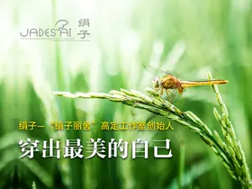绢子背景