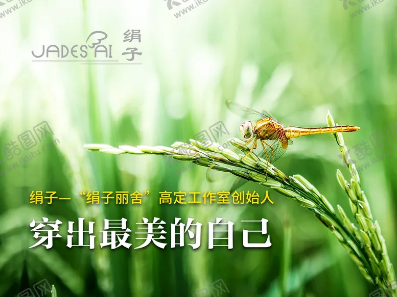 编号：51042310040205099320【酷图网】源文件下载-绢子背景
