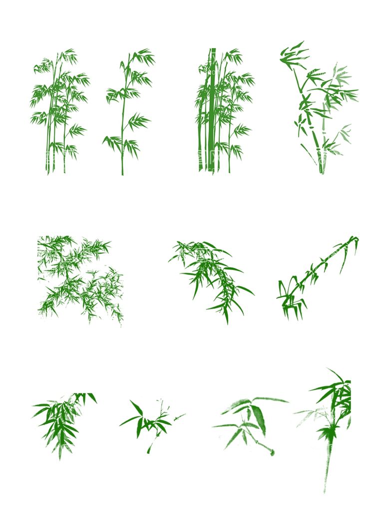 编号：57523712230259192051【酷图网】源文件下载-竹子