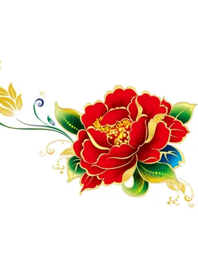 牡丹花