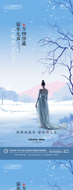 医美小雪大雪海报