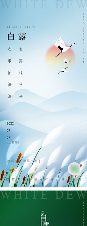 白露节气海报