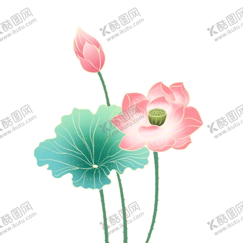 编号：83501712100637305256【酷图网】源文件下载-荷花素材