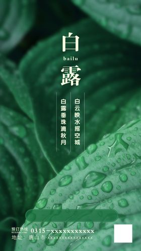 白露节气海报