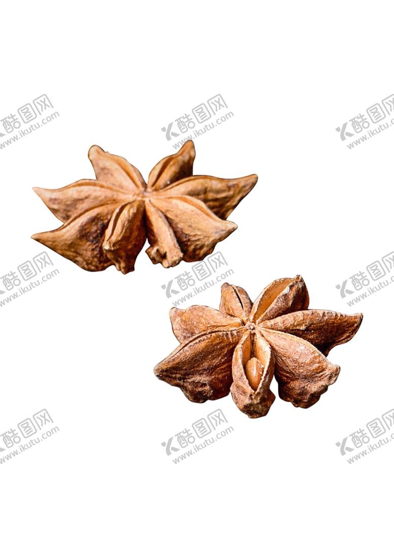 编号：45743301141309394584【酷图网】源文件下载-八角香料