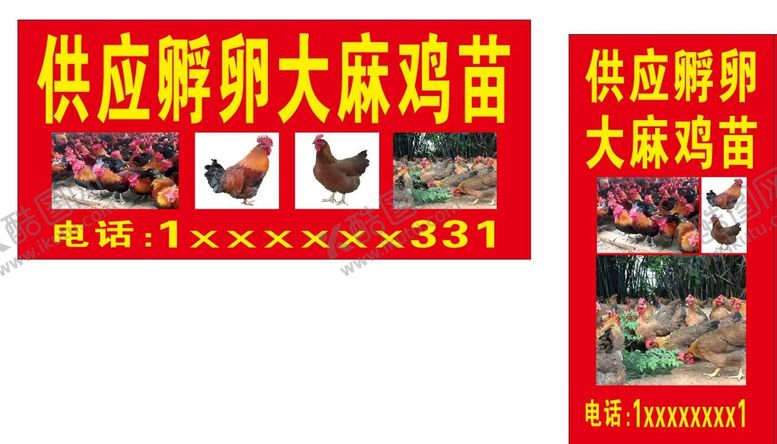 编号：25172411260305553054【酷图网】源文件下载-鸡广告
