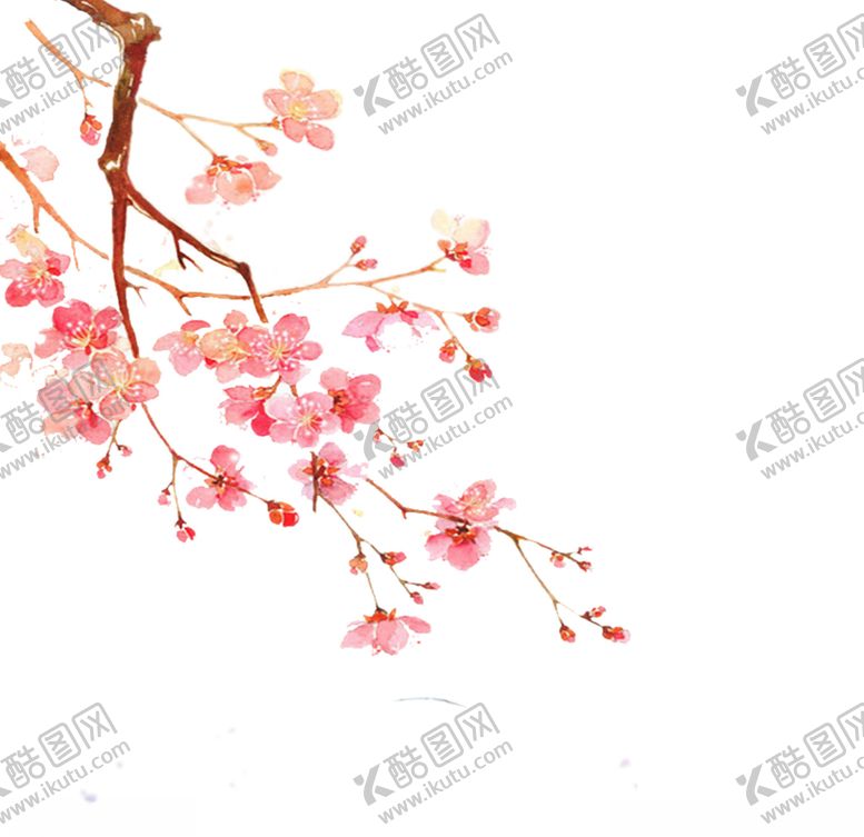 编号：50810909271548156103【酷图网】源文件下载-梅花png素材