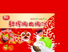 鲜榨椰肉椰汁礼盒
