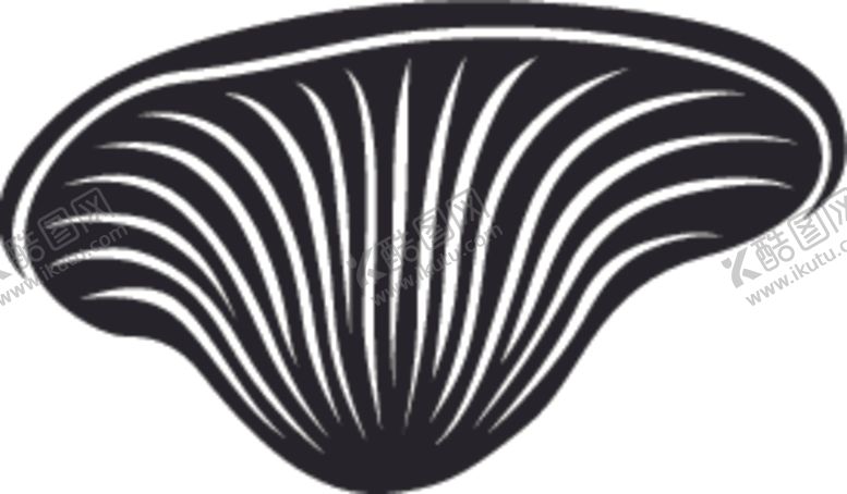 编号：12774509091145513653【酷图网】源文件下载-大型真菌系列蘑菇