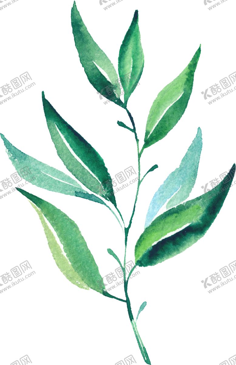 编号：79795006151122023174【酷图网】源文件下载-水彩手绘花卉花朵植物