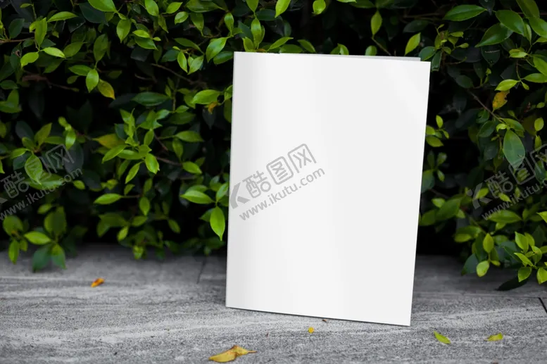 编号：92799910300619521656【酷图网】源文件下载-杂志样机