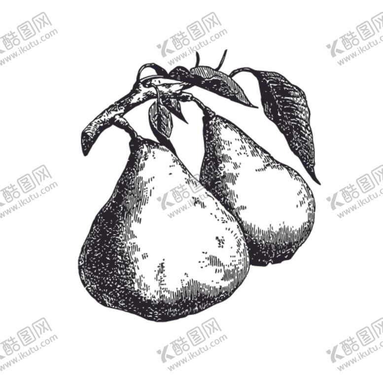 编号：68086207132356468059【酷图网】源文件下载-水果绘画线稿图案