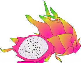 矢量火龙果
