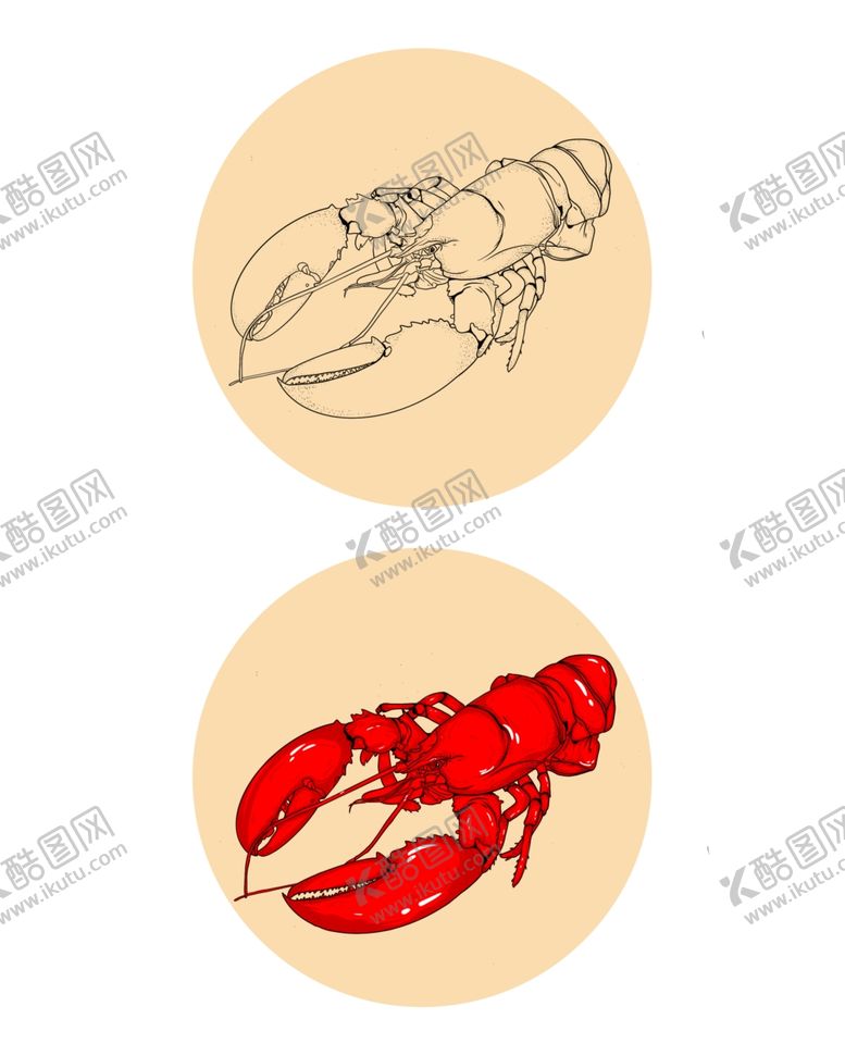 编号：22714605062215364897【酷图网】源文件下载-小龙虾