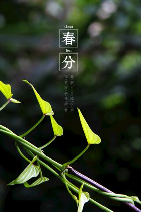 春分素材节气活动宣传