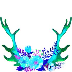 花素材卉底纹边框边纹朵
