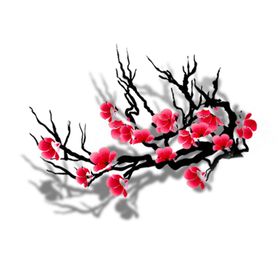 中国风水墨梅