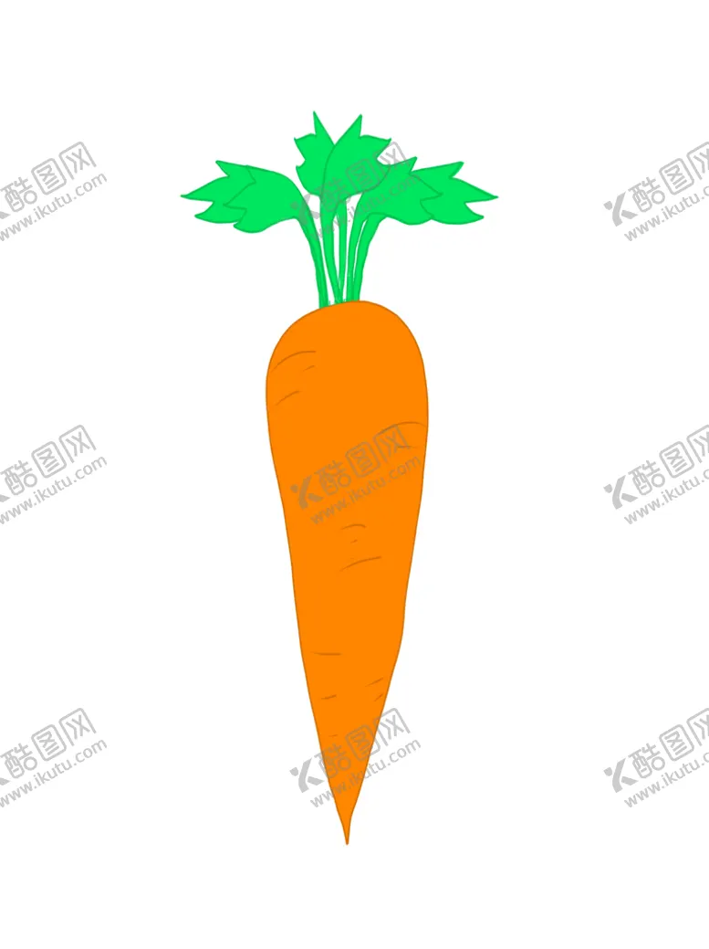 编号：41041010211158047839【酷图网】源文件下载-新鲜胡萝卜手绘
