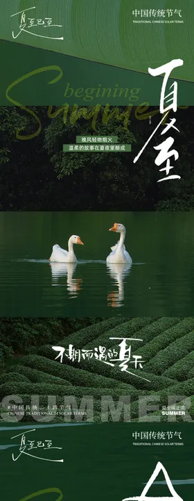 夏天节气叶合集 