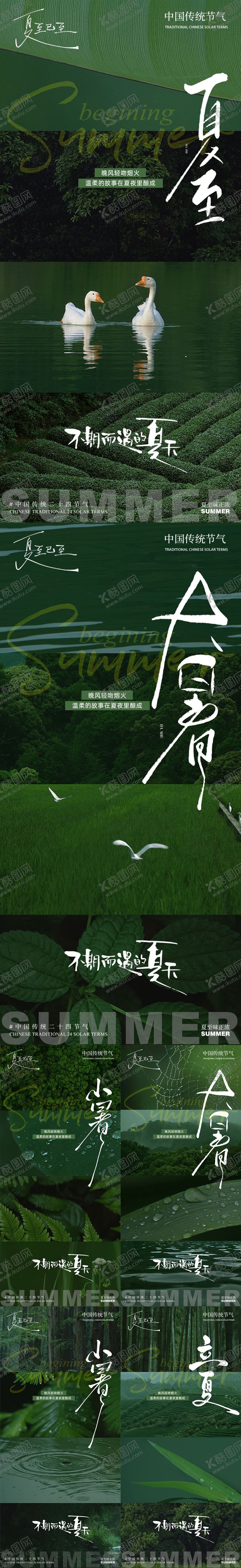 编号：95457006231556514241【酷图网】源文件下载-夏天节气叶合集系列海报