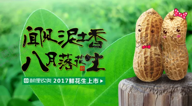 编号：98363201231142532188【酷图网】源文件下载-花生海报
