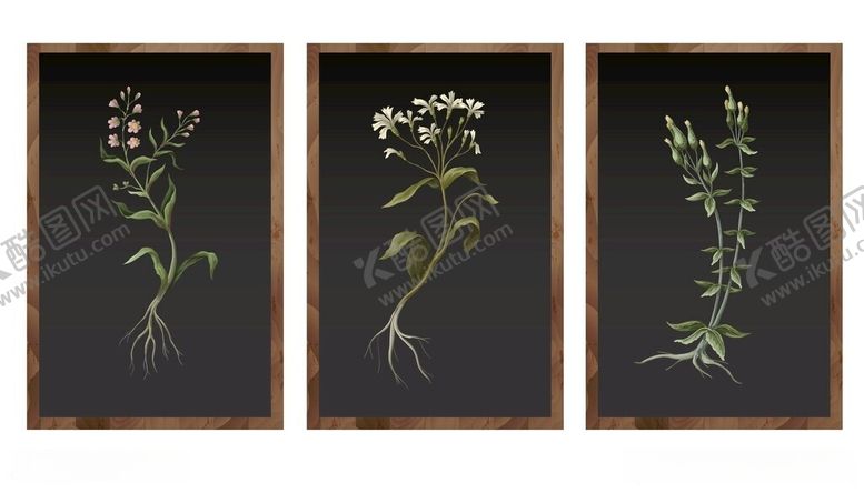编号：65433405251016355183【酷图网】源文件下载-植物装饰挂画