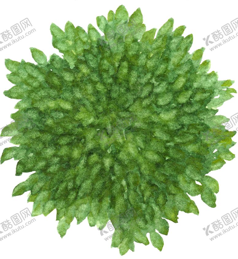 编号：26866003311407565608【酷图网】源文件下载-手绘植物