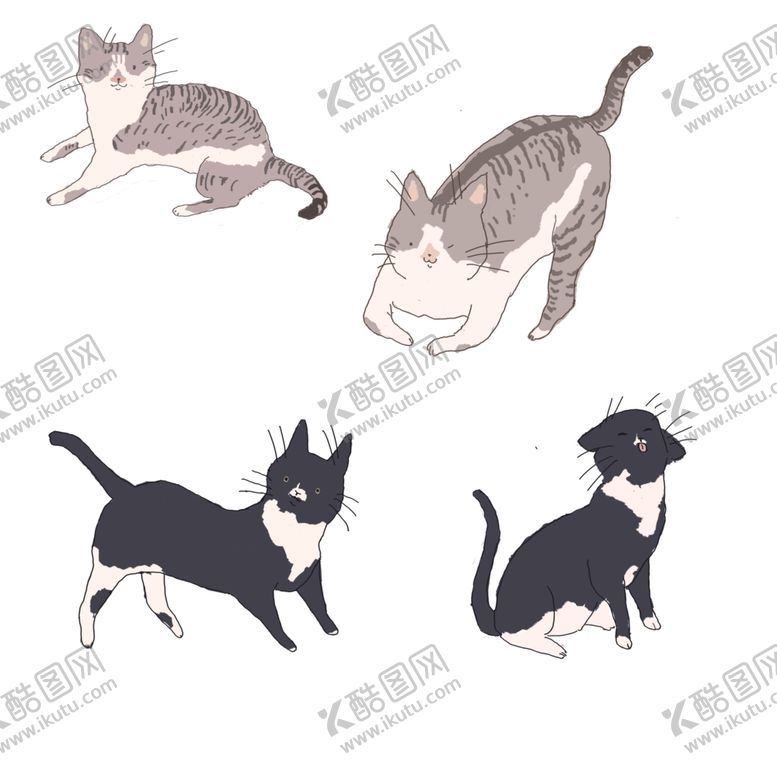 编号：61078606281238386390【酷图网】源文件下载-猫咪