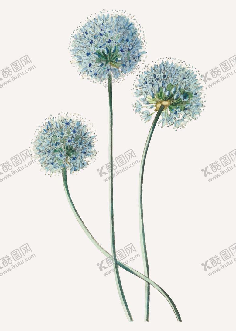 编号：42071707010144347469【酷图网】源文件下载-花纹