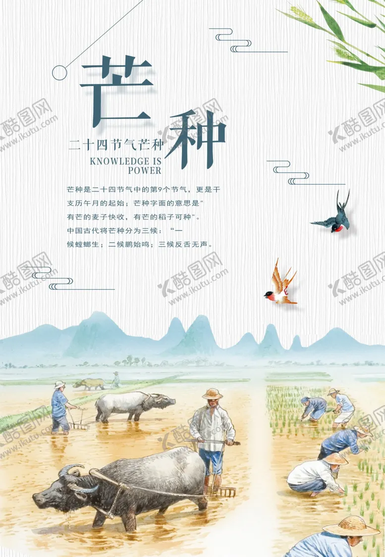 编号：85139204221905438123【酷图网】源文件下载-芒种	芒种海报