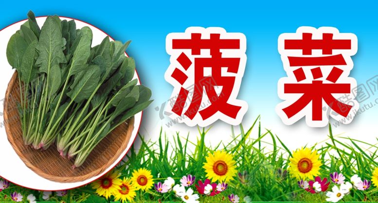 编号：74988806300925326710【酷图网】源文件下载-菠菜