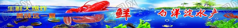 编号：85563402111202312363【酷图网】源文件下载-海鲜店水产店白洋淀水产
