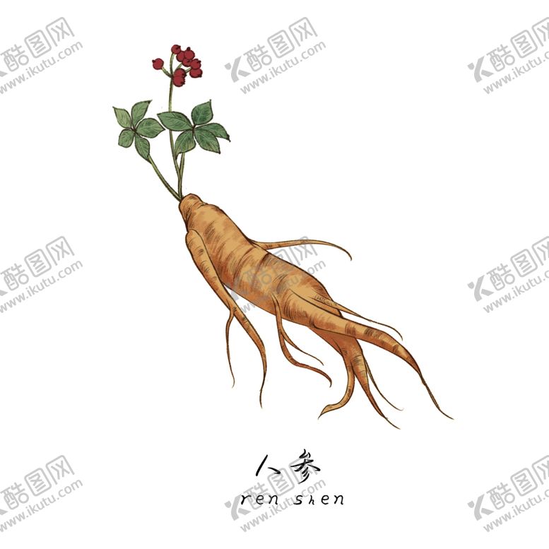 编号：86308705021201588687【酷图网】源文件下载-草本植物药材
