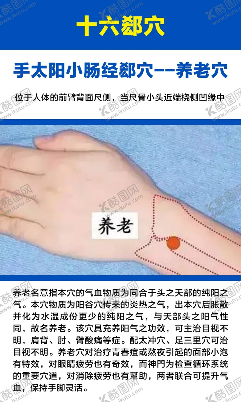 编号：31777701130128243004【酷图网】源文件下载-十六募穴