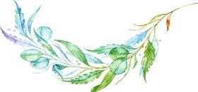 水彩植物